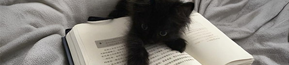 ma cat